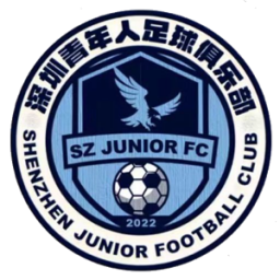 深圳青年人队徽